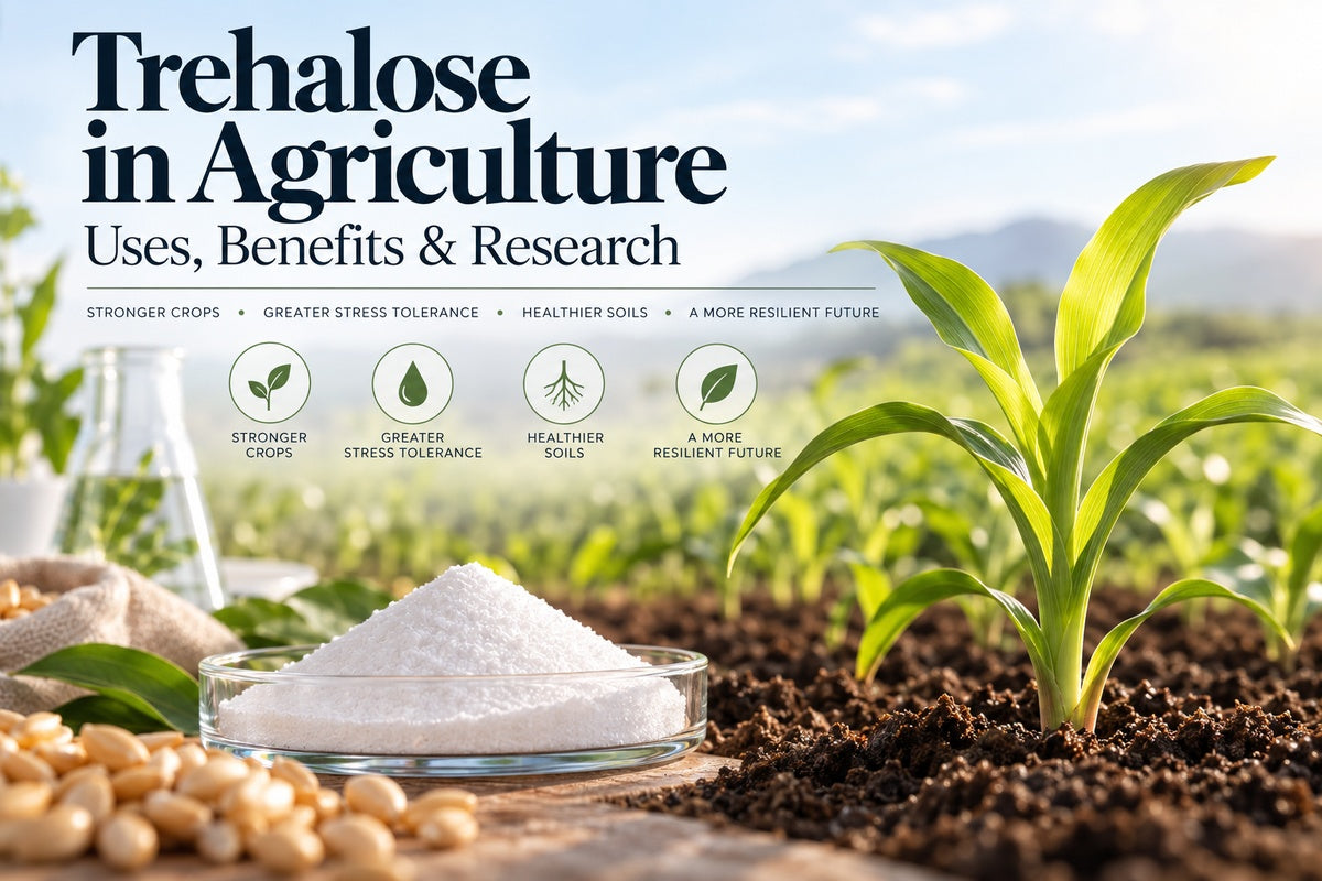 Trehalose in agriculture for crop stress tolerance, plant health and agricultural research
